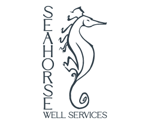 Seahorse Logo